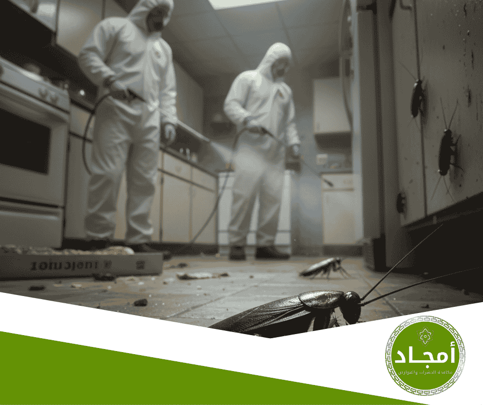 مراحل خدمات مكافحة الحشرات