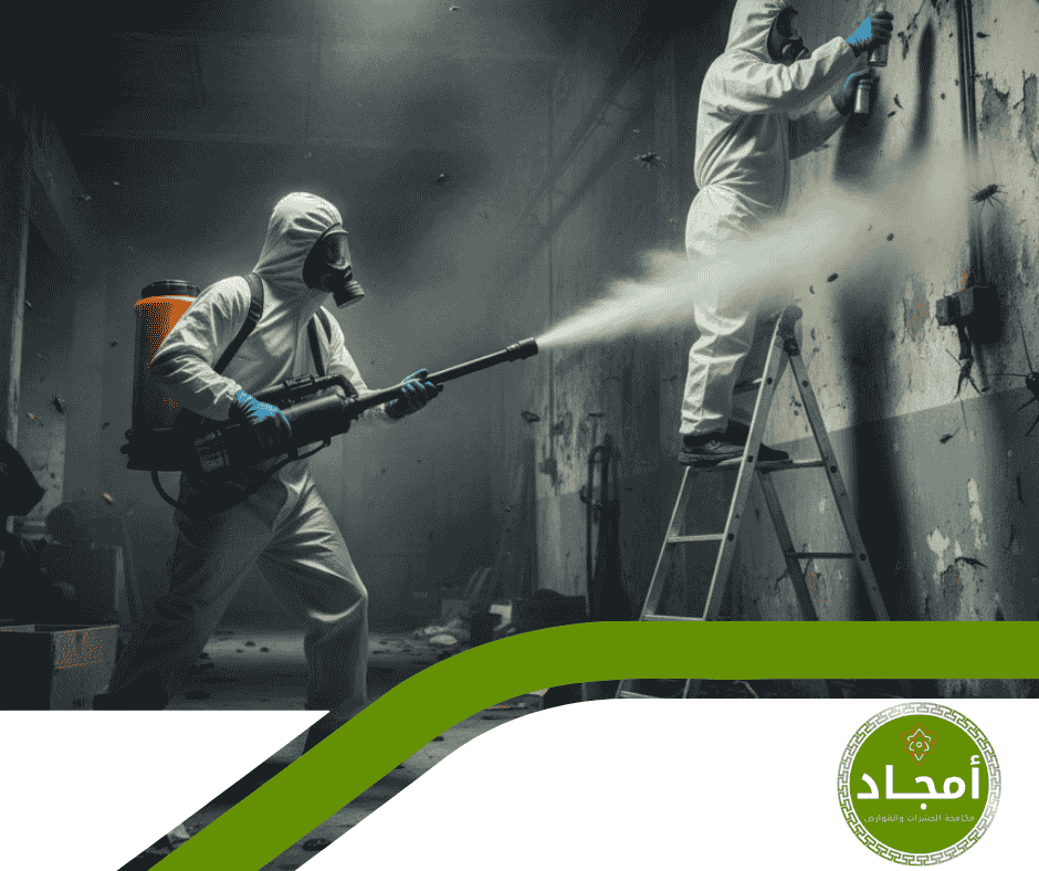 مخاطر انتشار الحشرات في المنزل