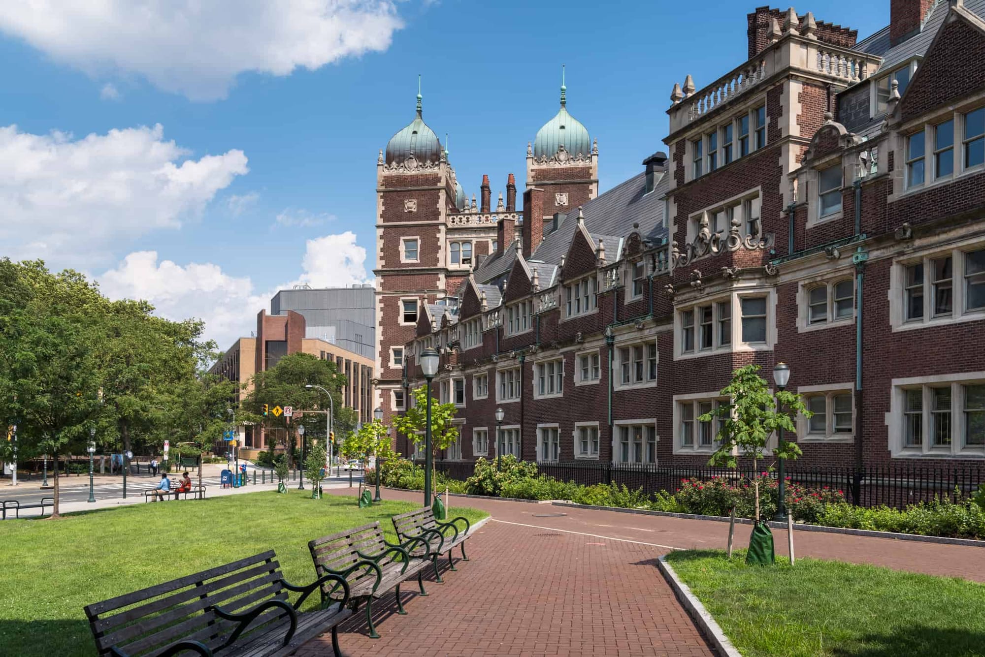 Best Undergraduate Business Programs 2025