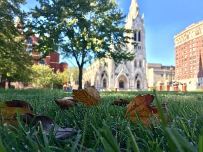 Practical Training (OPT, CPT, STEM OPT) for F-1 Students