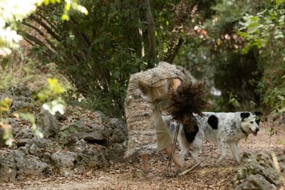 גלריה P8 מציגים: כַּל-בִּתִּי || My dog, תערוכת יחיד של דפנה טלמון | פתיחה: 15.8.24, בשעה 20:00