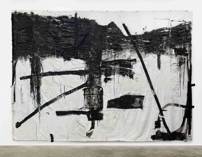 שתי תערוכות חדשות בגלריה מאיה | רבקה לוי "ערפל" | איילת עמרני נבון "מַחְזוֹרִי שחור לבן ורוד זהב" | פתיחה 31.10.24