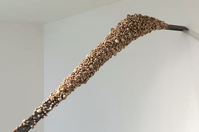 מיכל שמיר וחיימי פניכל |  "בשולי הדברים" | תערוכת יחיד-זוגית | גלריה שלוש | פתיחה 8.11.24 בשעה 12:00