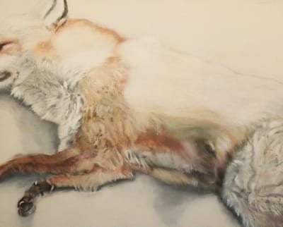 נעמי צוקר | טטיאנה יעקובלב | "פרוות נעלמות" | גלריה קוביה | פתיחה: 8.11.24 בשעה 11:00