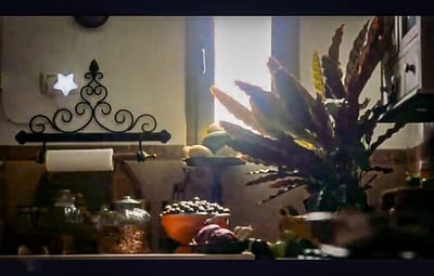 דנה בומץ | "מִתַּחַּת לְכָל אֵלּוּ הָיָה פַּעַּם יָם" | הגלריה במענית | פתיחה  17.1.25