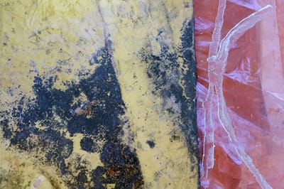 אביב לבנת | "צורה מעורטלת ונדהמת הנפתחת לקבלתו של תוכן נעלם" | המעבדה | פתיחה 20.2.2025 בשעה 19:30