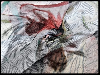 עדי אדר | "דוגרת על ספרים" | גלריה קוביה 6 | פתיחה 25.4.25 בשעה 11:00