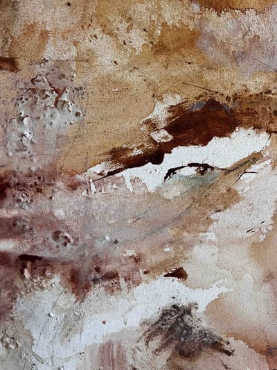 ברית אינשטיין | מאיה שירן | "וּבָאוּ הַמַּיִם" | תערוכה זוגית | גלריה אלפרד | פתיחה 29.5.25 בשעה 20:00