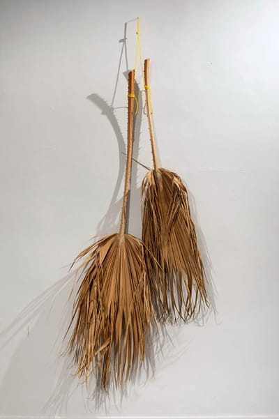 דנה חרס ולילך ירון | "מֵעֵבֶר לקו המשווה" |  גלריה P8 | פתיחה 10.7.25 החל מ 19:30, מופע 20:30