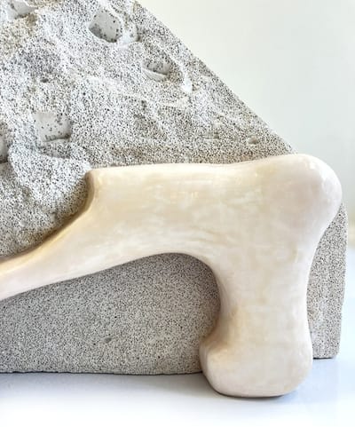 תערוכות חדשות | גלריה מאיה | פתיחה 25.9.25 בשעה 20:00