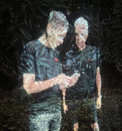 מלי דה-קאלו | לי ברבו | "רעיל וקוצני" | גלריה P8 | פתיחה 11.12.25 בשעה 20:00