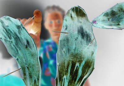 תערוכת פופ-אפ קבוצתית | "מועדון האקסים\Formerly Ours" | גלריה רוזנפלד | פתיחה 16.1.26 בשעות 11:00-14:00