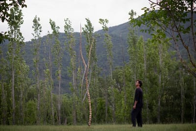 משה רואס | זוכה פרס קשת לאמנות עכשווית לשנת 2026