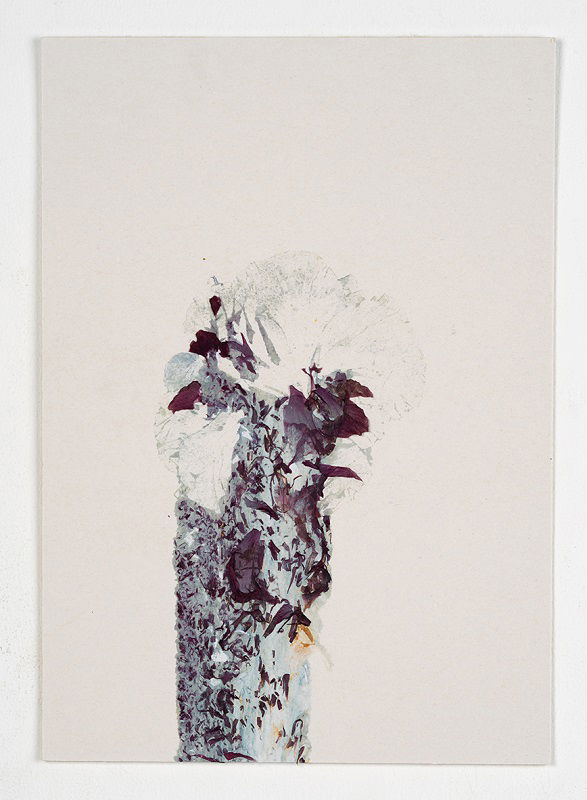 Hibiscus #3, 2023, 20_30 cm, Monotype 