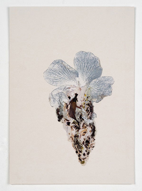 Hibiscus #7, 2023, 20_30 cm, Monotype 