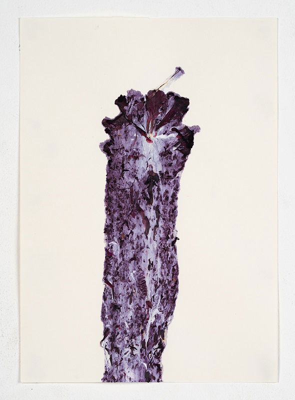 Hibiscus #1, 2023, 20_30 cm, Monotype 