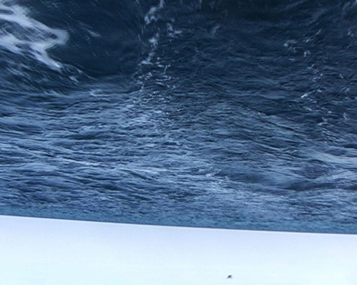 הדס סט, 2010 Sea-proof 