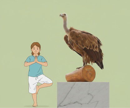 מתוך התערוכה יוגה וחיות אחרות באדיבות מוזיאון האדם והחי