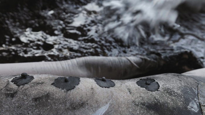 טליה רז, Selkie, סטילס מתוך וידאו, 2025, צילום: אורי מגנוס דותן 