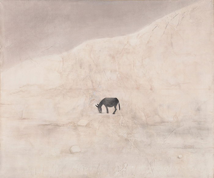 ליהי תורג׳מן, חמור על הגבול, צילום: אלעד שריג