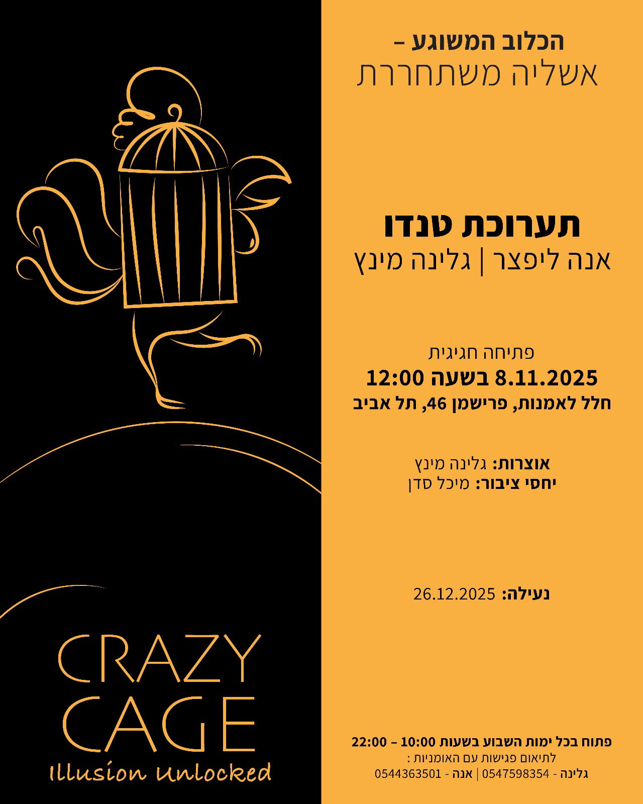 הזמנה לתערוכה אנה ליפצר גלינה מינץ