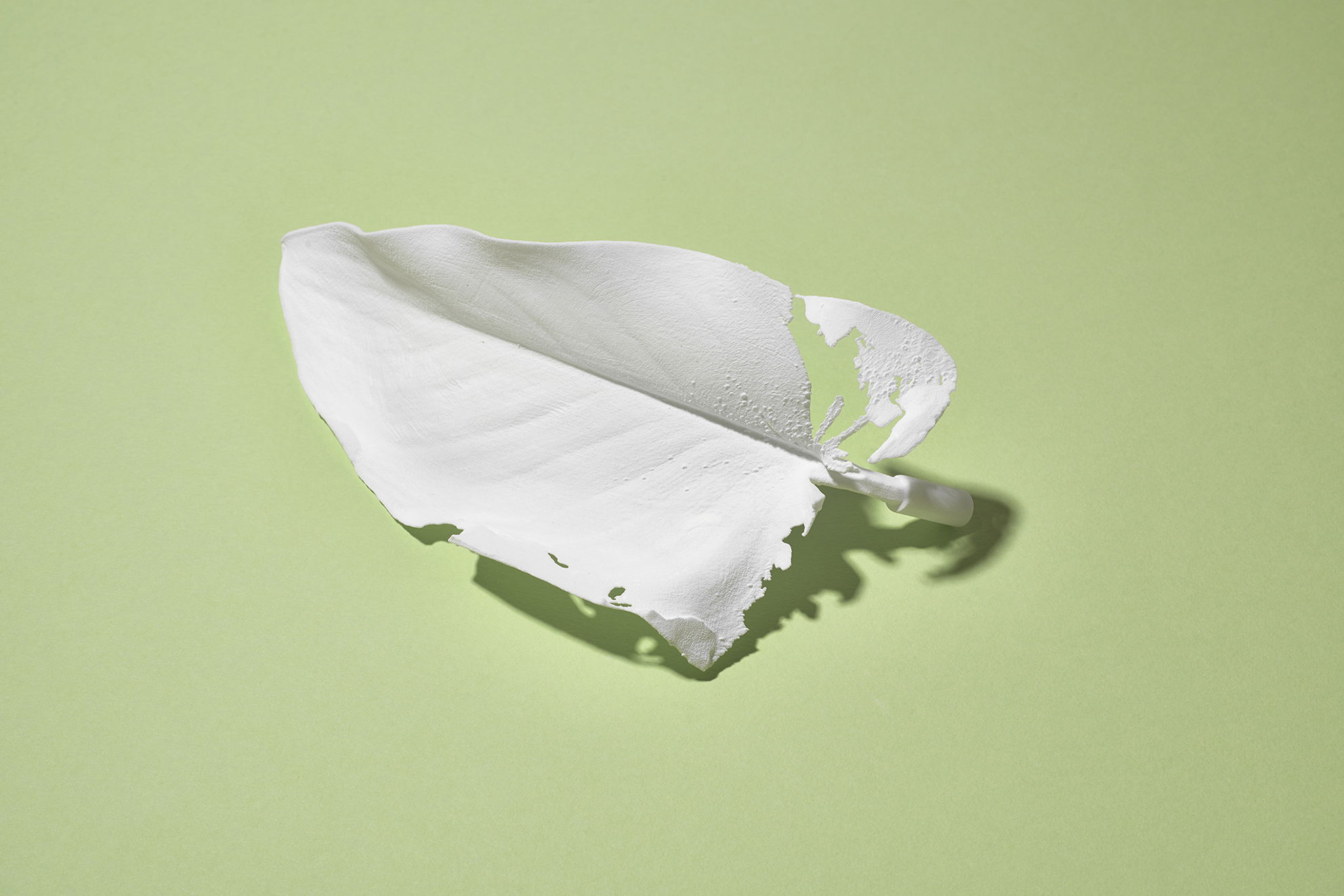 מאיה בן דוד, 2025 צילום: דור קדמי