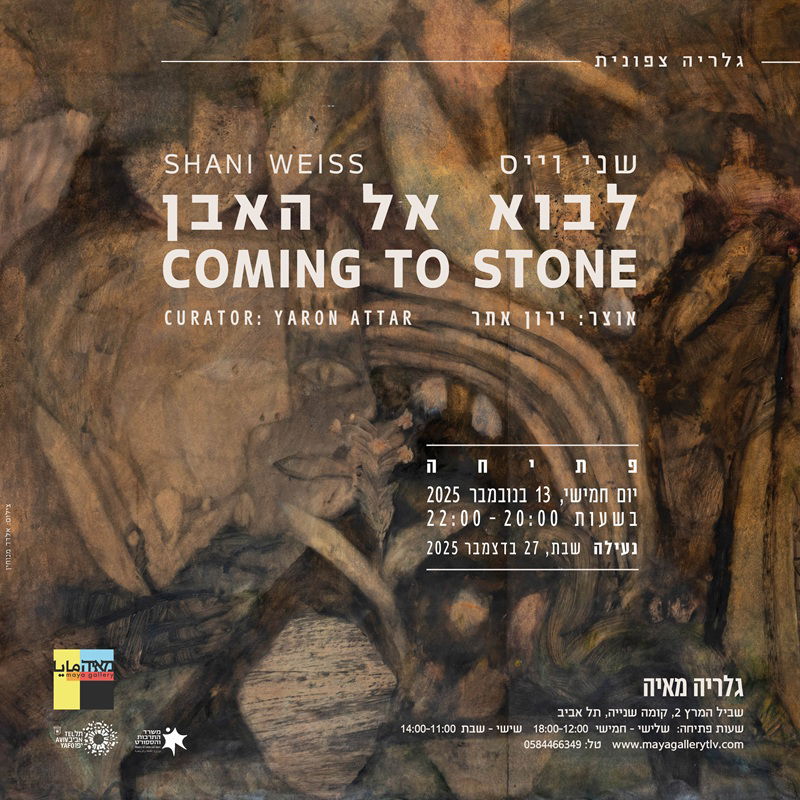 פתיחת תערוכה, פתיחת תערוכה בתל אביב, תערוכה חדשה, תערוכה בתל אביב, אורה בריל , שני וייס, גלריה מאיה