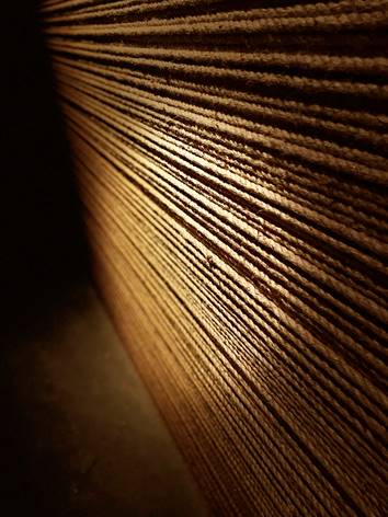 שרית אכטנברג, גלריה בנימין