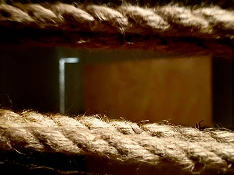 שרית אכטנברג, גלריה בנימין