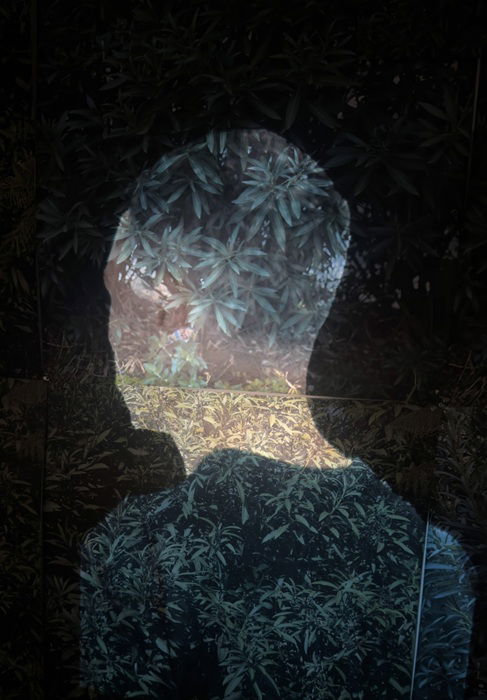 מלי דה-קאלו ולי ברבו, פרט מתוך רעיל וקוצני, מיצב וידאו, 2025  