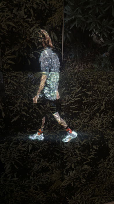 מלי דה-קאלו ולי ברבו, פרט מתוך רעיל וקוצני, מיצב וידאו, 2025  