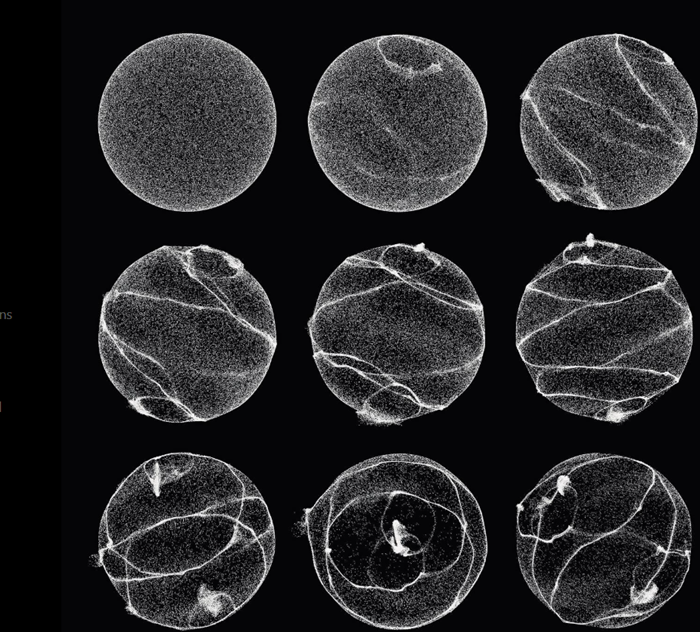 פול רוזנבוים, סטילס מוידאו, ניסוי ראשון על התפיסה, במעבדה