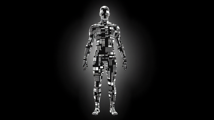 פול רוזנבוים, סטילס מוידאו, ניסוי רביעי, האדם החדש, על התפיסה, במעבדה