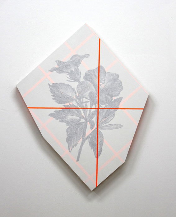 יוסף קריספל, היביסקוס, 2025