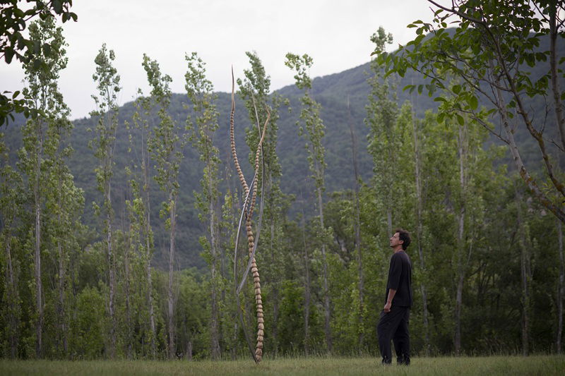 משה רואס, שלדג, Kingfisher, 2024, צילום: אמירה זיאן