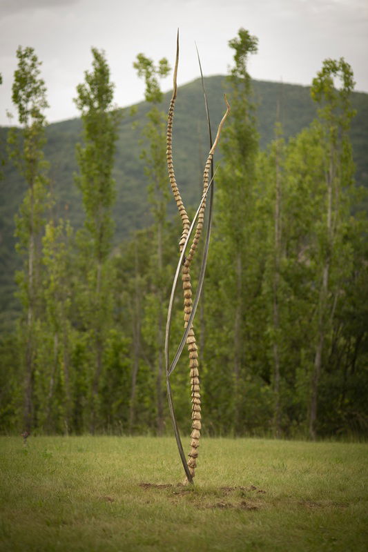 משה רואס, שלדג, Kingfisher, 2024, צילום: אמירה זיאן