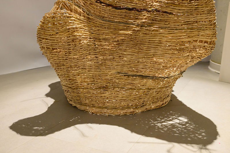 קליעה בסנסנים (סטודנטית תגל סלומון) צילום: אלדד כפיר