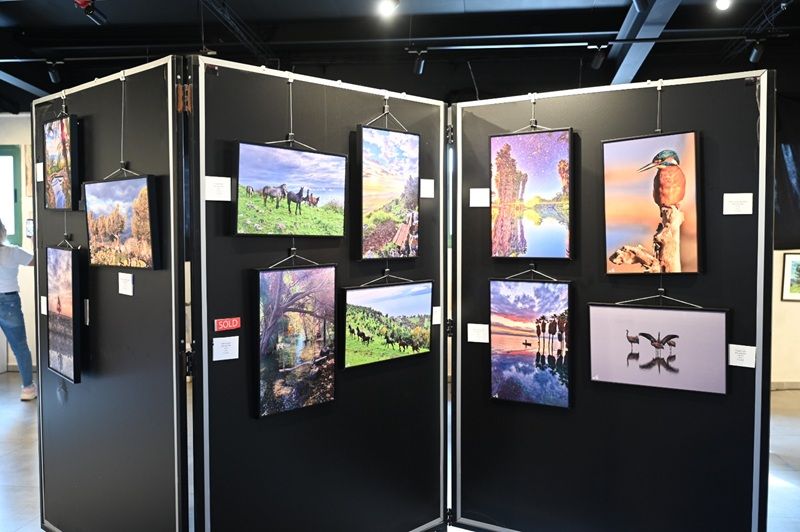 תערוכת פסיפס גלילי, צילום: עידן שוחט 