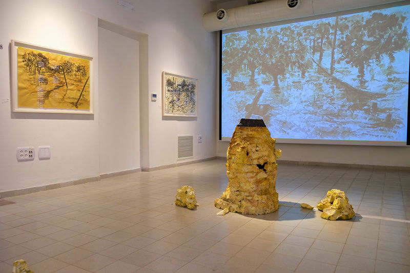 גיל גורן, שטפונות בכף ידי 2022, צילום: אמיר פישביין