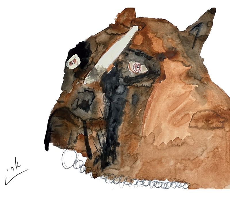 ארי ירדני, כלב, דיו ועפרונות 2021, צילום: דורית בר אדון