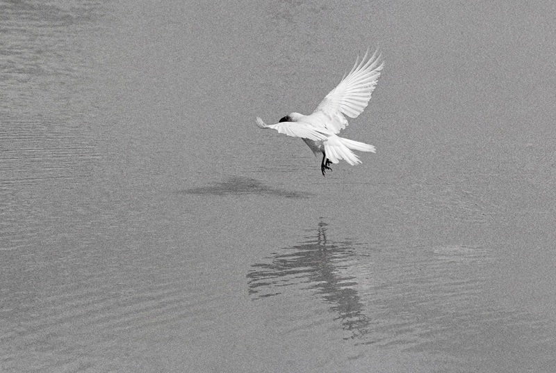 יובל נאור, פרט מתוך הסדרה אין הרצון יכול לרצות לאחור, 2025, תצלומים מטופלים