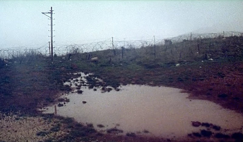 עמוס גיתאי , ARENA מתוך הסרט זירת הרצח 1996