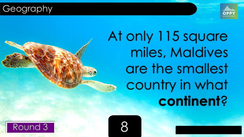 Sea turtle in clear turquoise water for a geography trivia question.