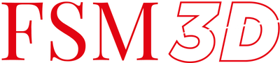 FSM 3D