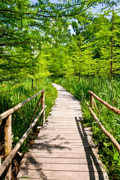 Séances de travail image