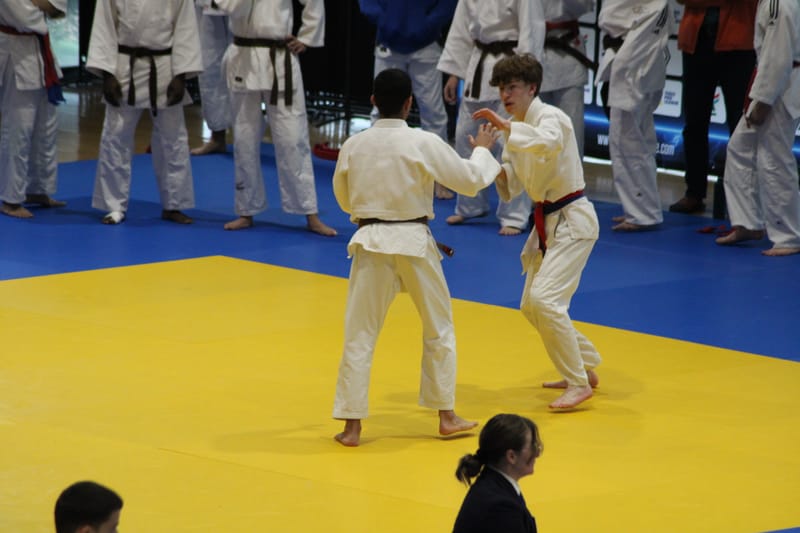 Bassin Cadet à Orléans - 23/11/24