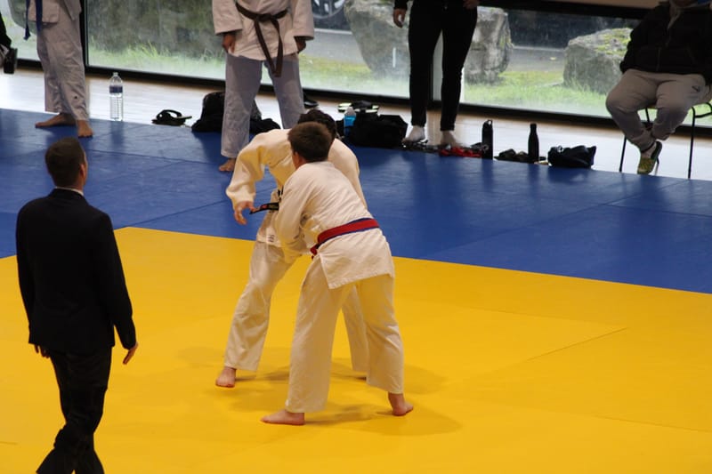 Bassin Cadet à Orléans - 23/11/24