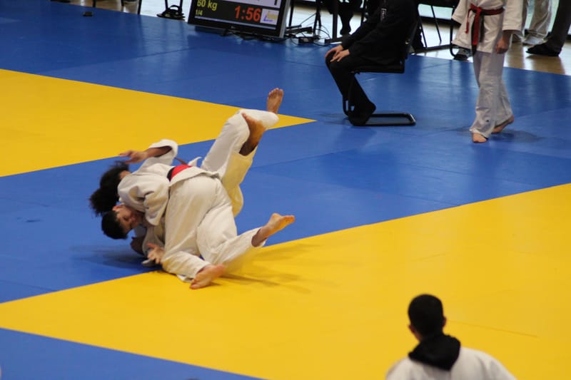 Bassin Cadet à Orléans - 23/11/24