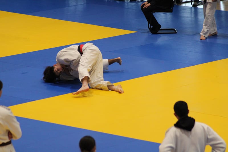 Bassin Cadet à Orléans - 23/11/24