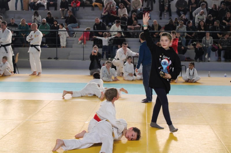 Samouraï à Saint-Georges sur Eure - 30/11/2024